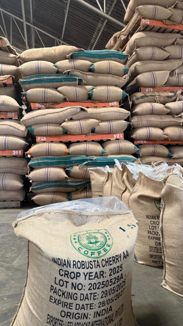 Lit Coffee Brand